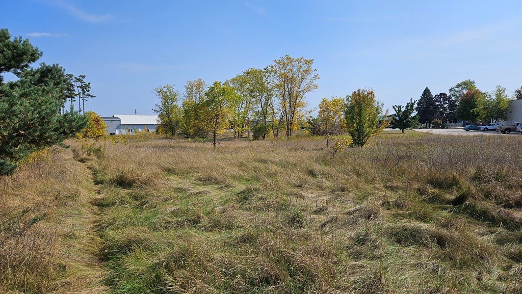 Picture 8