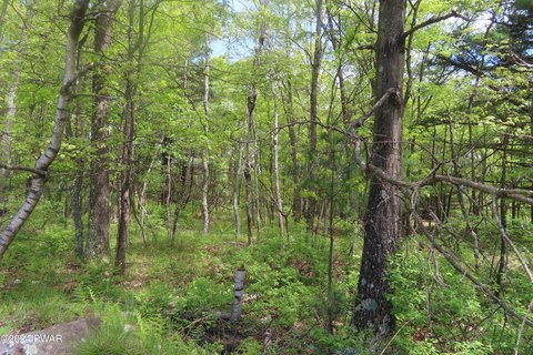One Acre Wooded Corner Lot