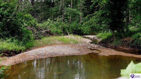Recreation Land with Center Gravel Road