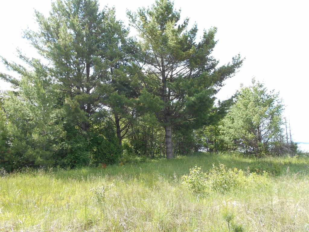 Picture 36
