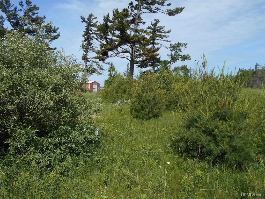 Picture 6