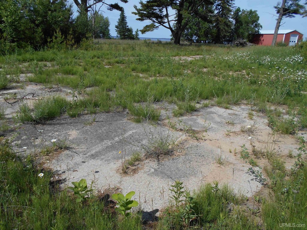 Picture 11