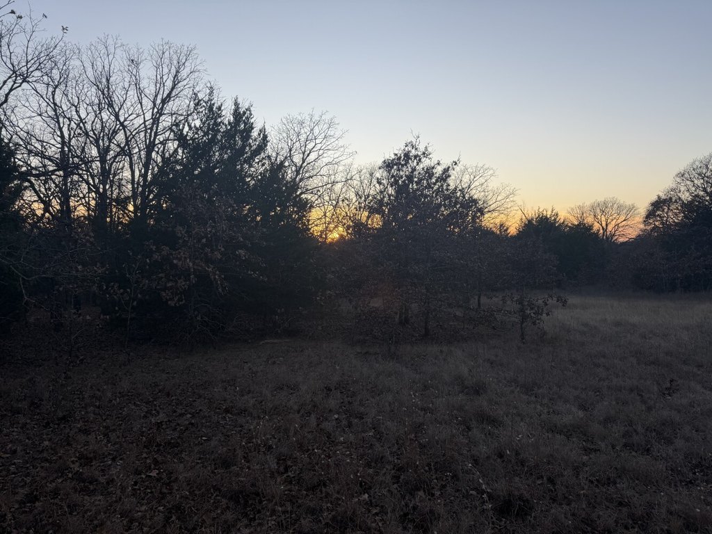 Picture 48