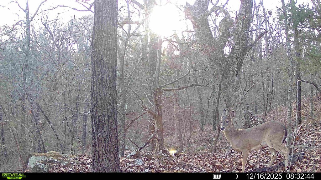 Picture 3