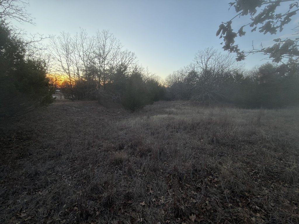 Picture 28