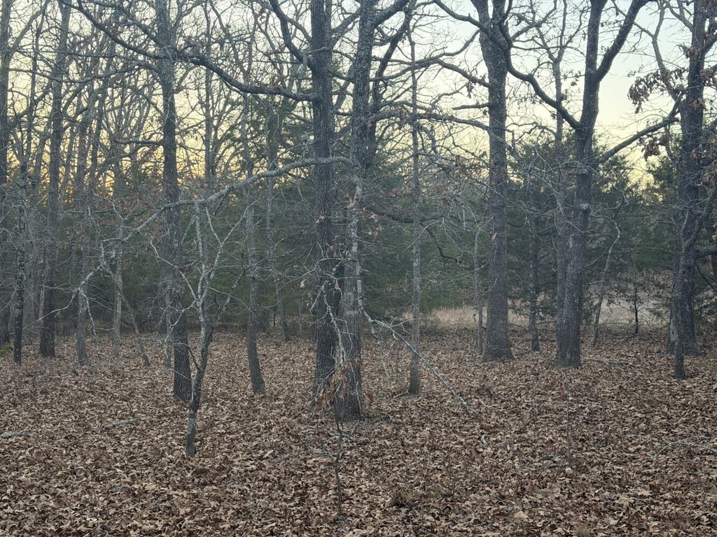 Picture 8
