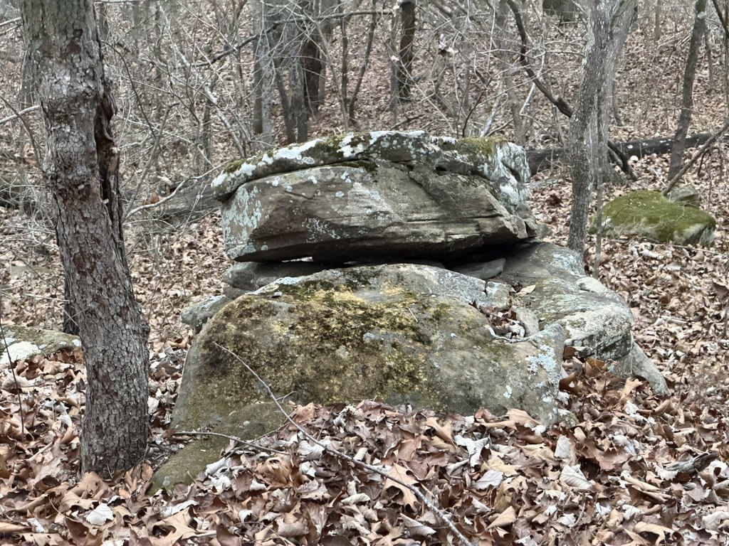 Picture 2