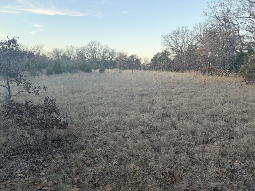 Picture 30