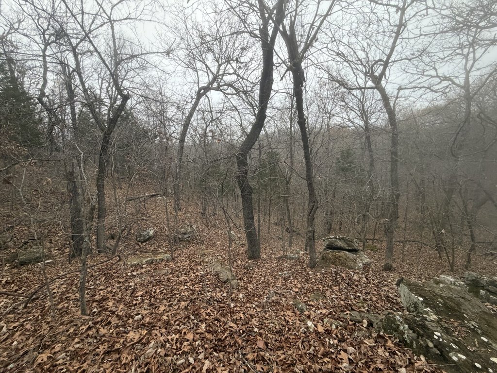 Picture 46
