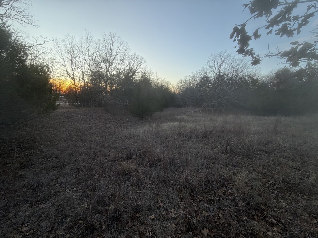 Picture 35
