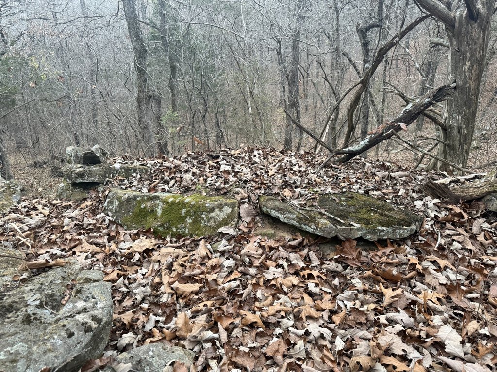 Picture 5