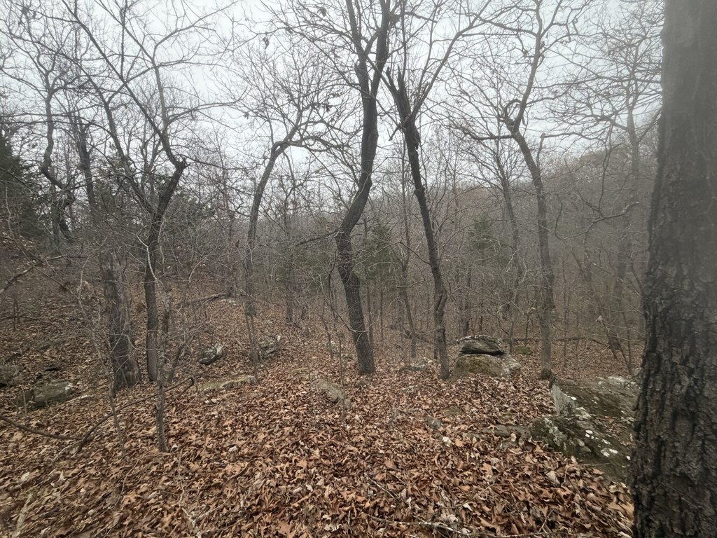Picture 45