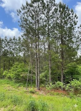 LAND - Broken Bow, OK