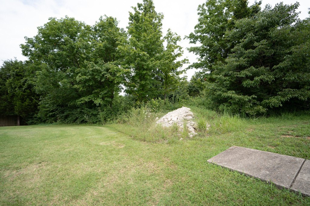 Picture 3