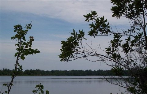 LAND - Naylor, GA