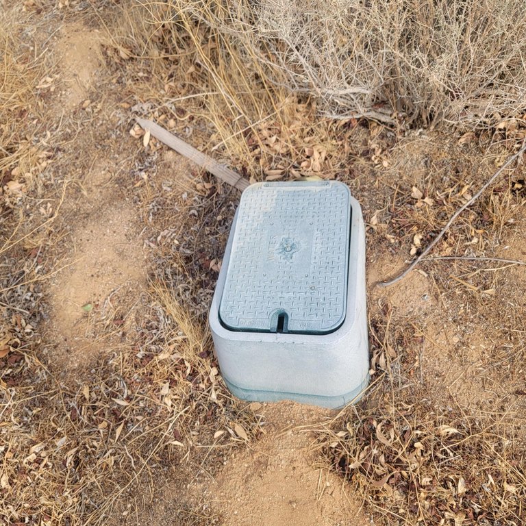 Picture 5