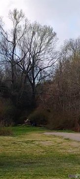 Residential Subdivision Lot
