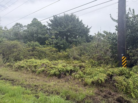 Land Parcel in Pahoa, Hawaii