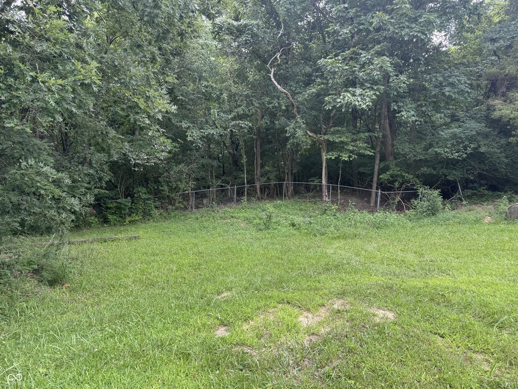 Picture 15