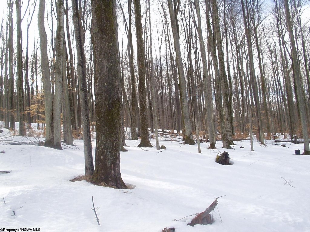 Picture 6