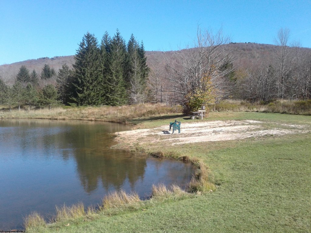 Picture 31