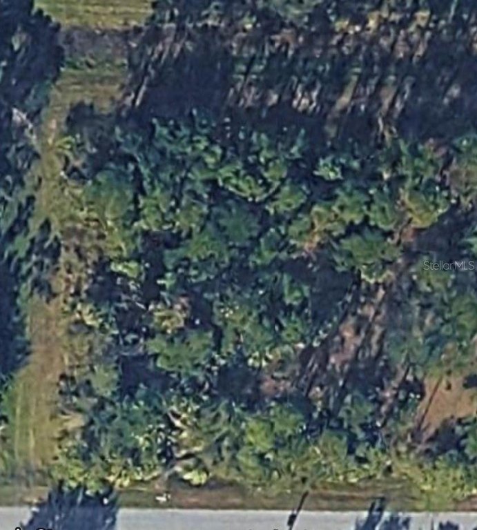 Picture 4