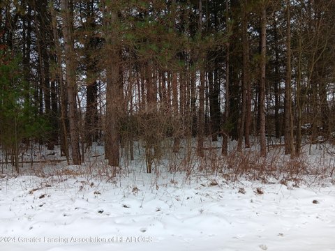 Land in Perry, Michigan