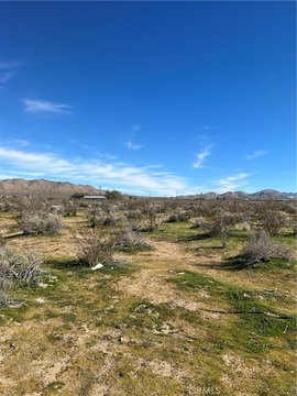 Apple Valley Land For Sale