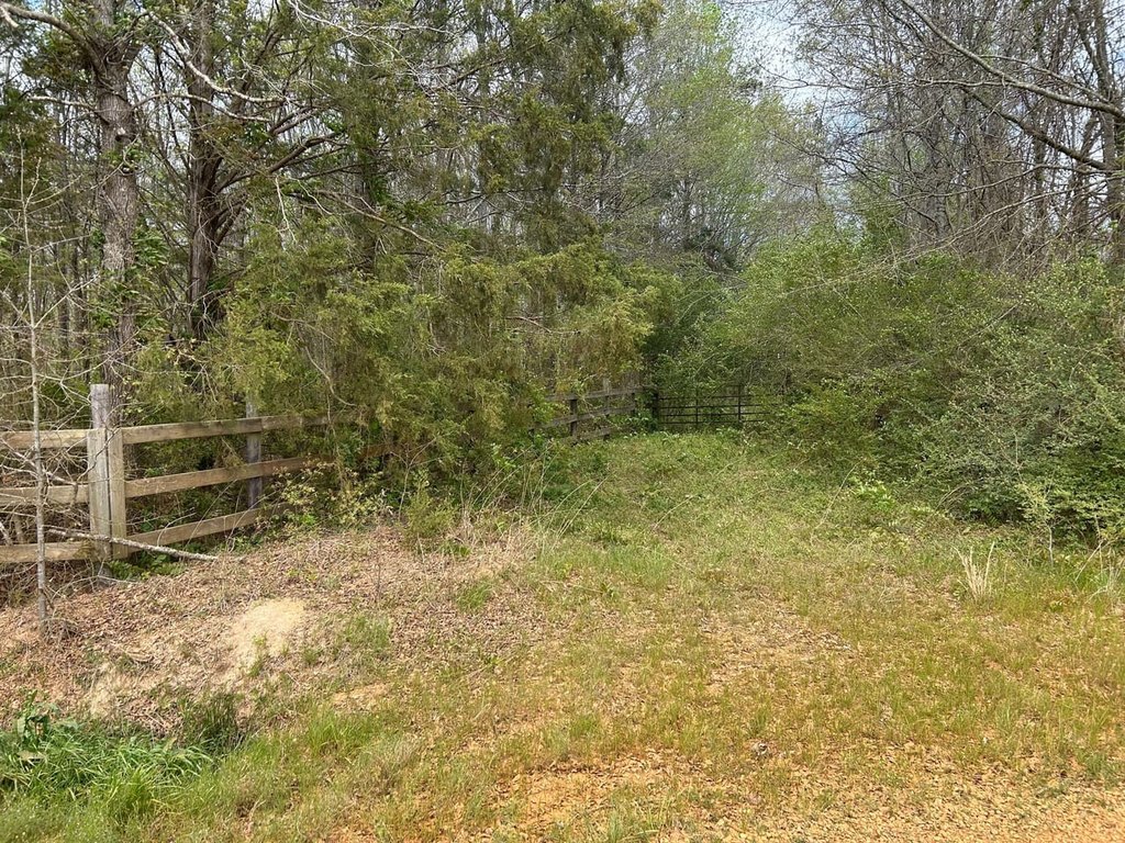 Picture 13