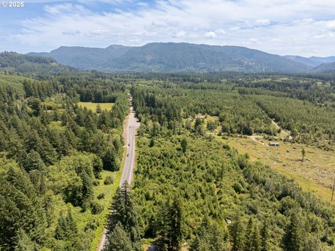 Ariel, WA Land Opportunity