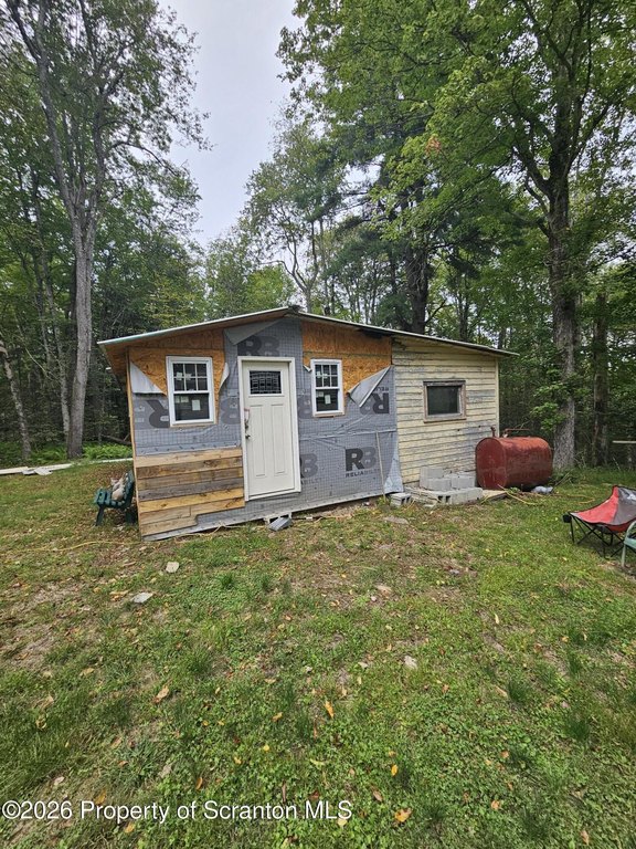 Picture 5