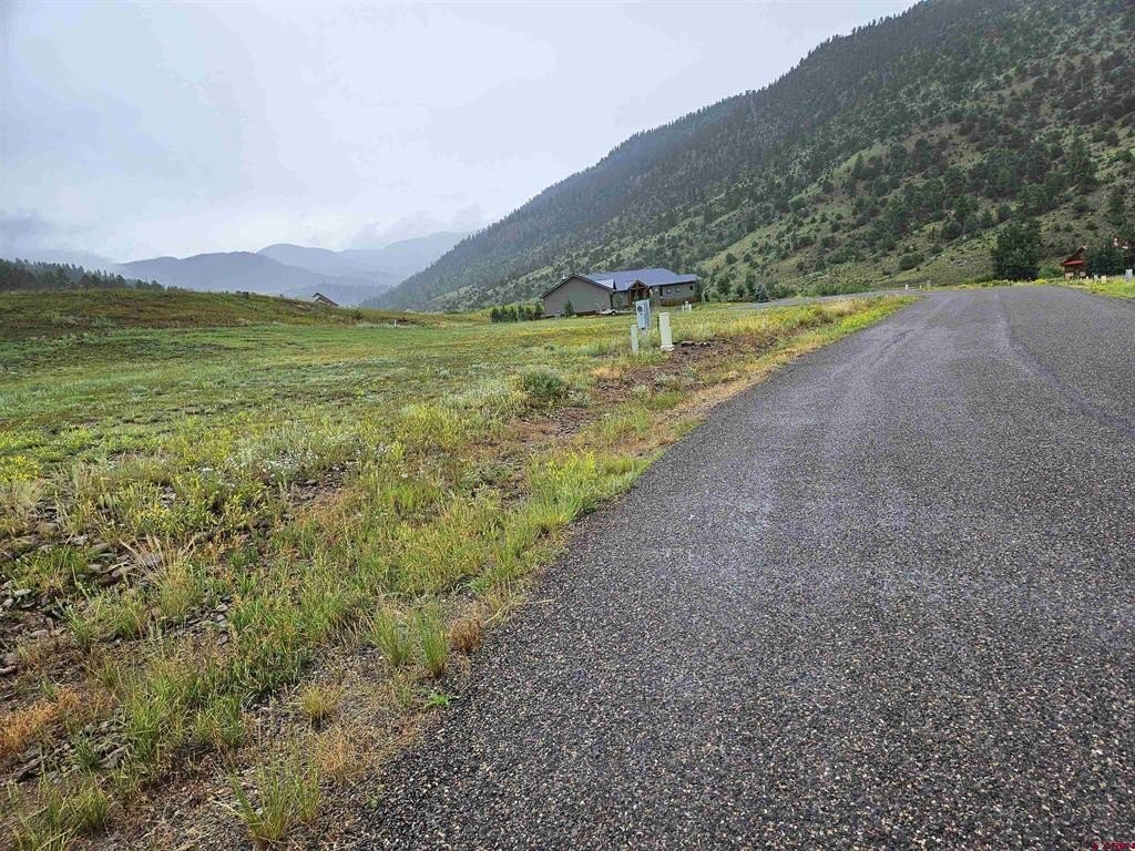 Picture 19