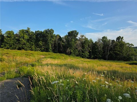 LAND - Unadilla, NY