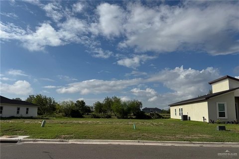 Residential Lot in Alton, TX