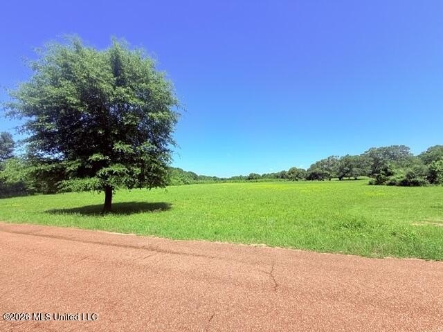 Magnolia, MS Land Opportunity