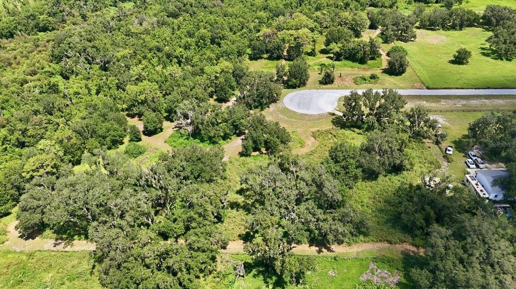 Picture 8