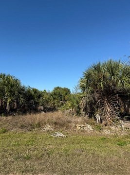 Land, PORT CHARLOTTE, FL