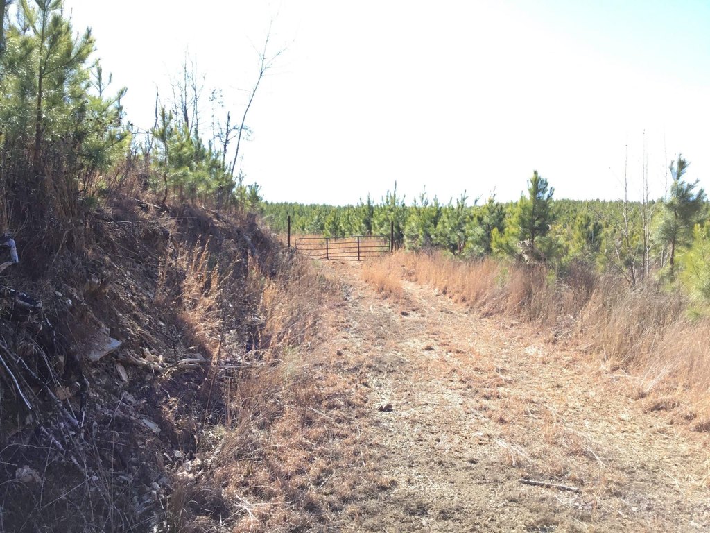 Picture 4