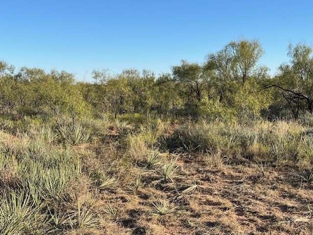 Picture 21