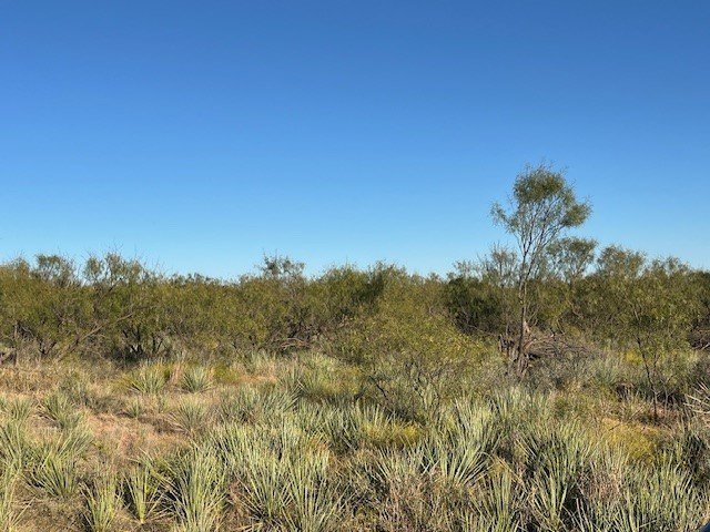 Picture 20