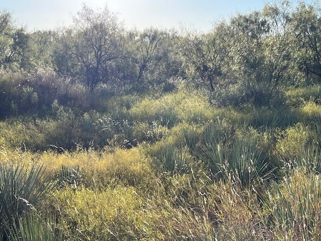 Picture 33