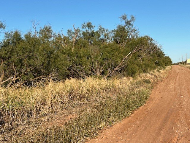 Picture 26