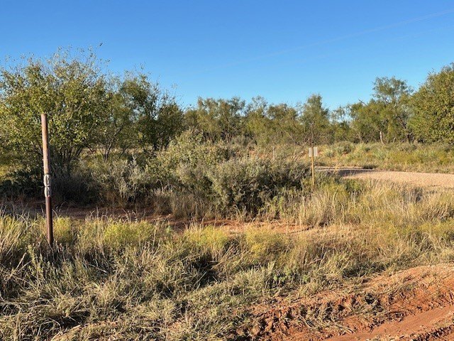 Picture 31