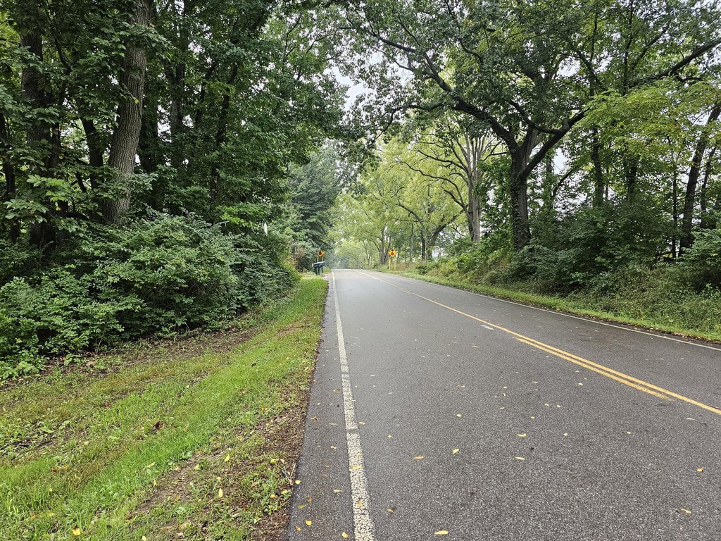 Picture 24