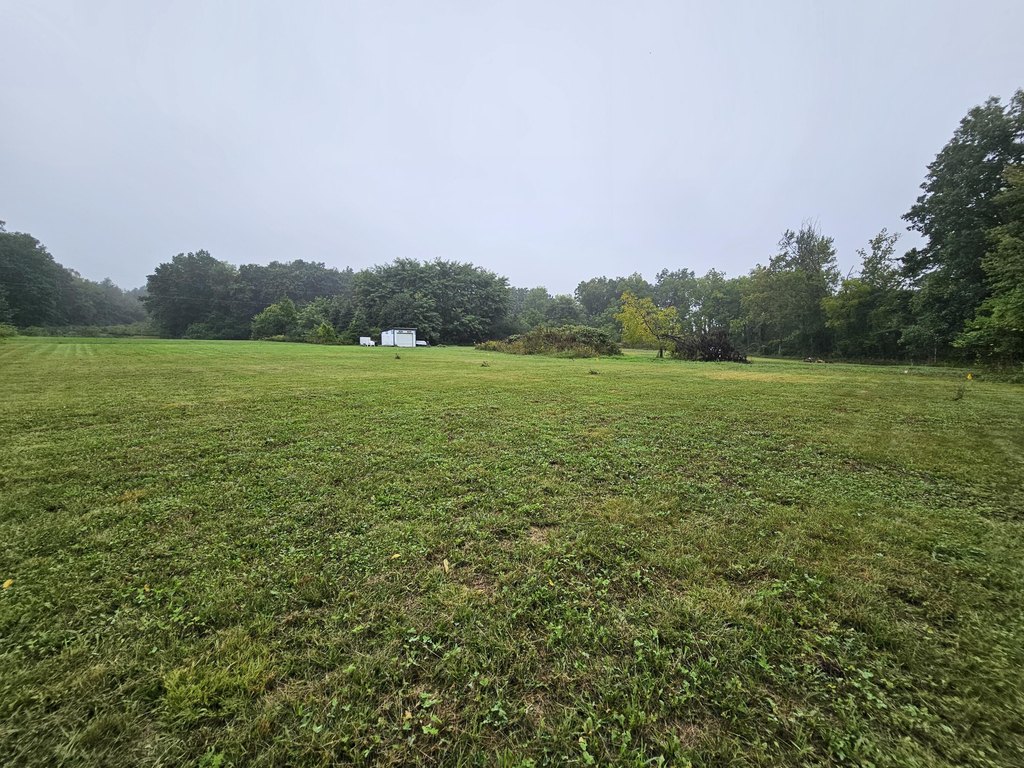 Picture 16