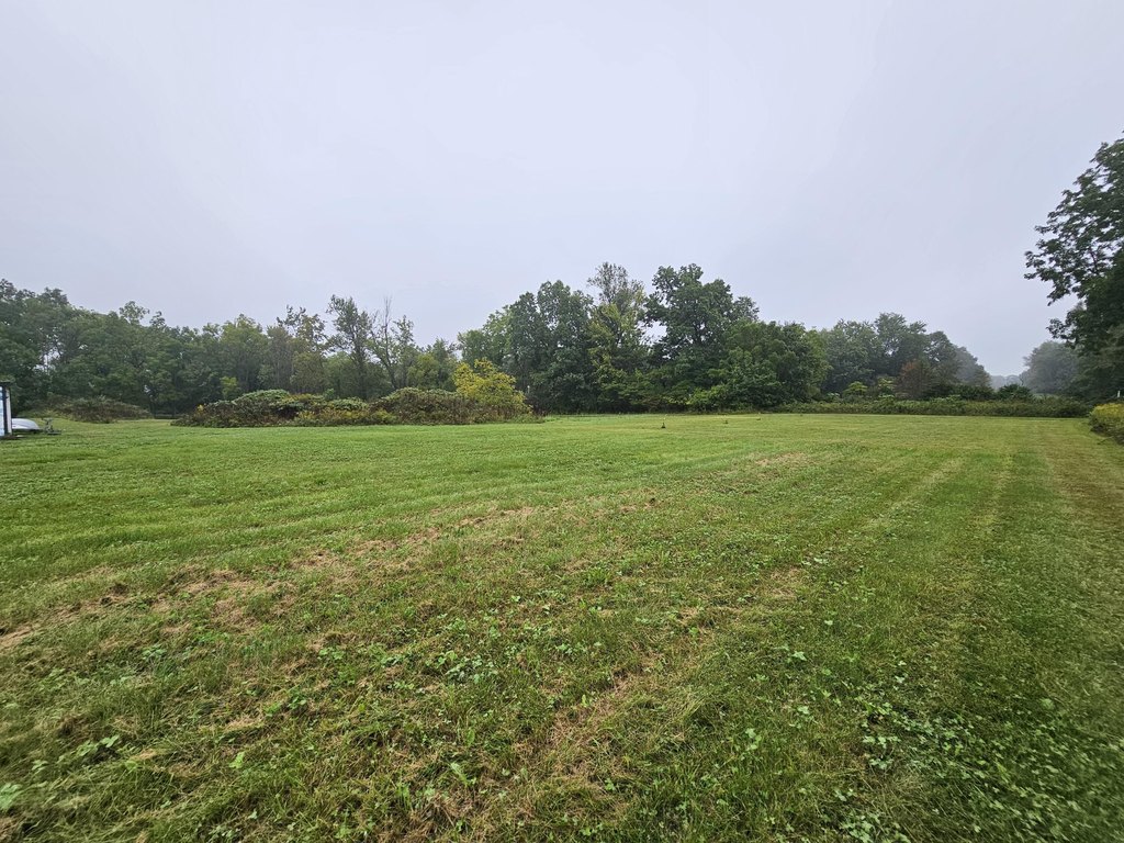 Picture 19