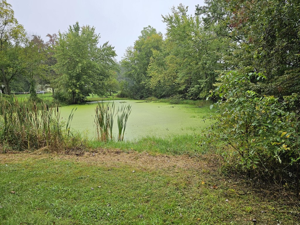 Picture 25