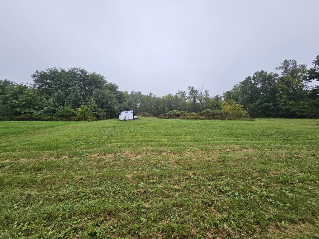 Picture 18