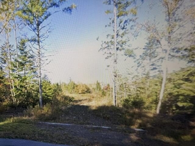 Picture 3