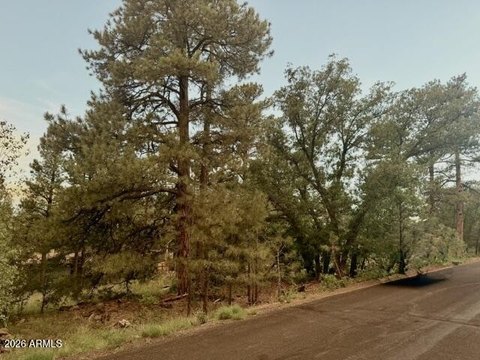LAND - Munds Park, AZ